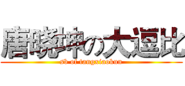 唐晓坤の大逗比 (sb of tangxiaokun)