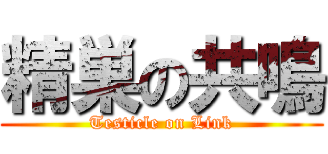 精巣の共鳴 (Testicle on Link)