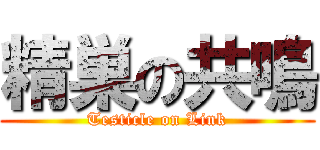 精巣の共鳴 (Testicle on Link)