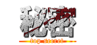 秘密 (top secret)