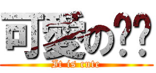 可愛の喵喵 (It is cute)