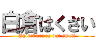 白倉はくさい (Shirakura is but smell)