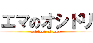 エマのオシドリ (oshidori of ema)