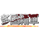 多国籍軍 (Multinational force)