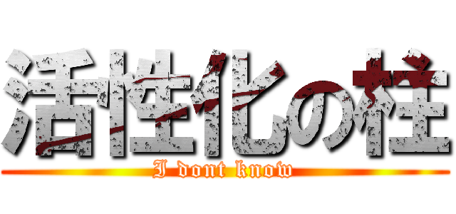 活性化の柱 (I dont know)