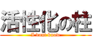 活性化の柱 (I dont know)