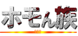 ホモん族 (ホモォ)