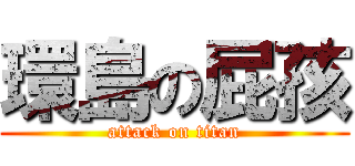 環島の屁孩 (attack on titan)