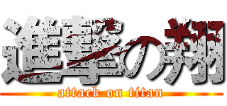 進撃の翔 (attack on titan)