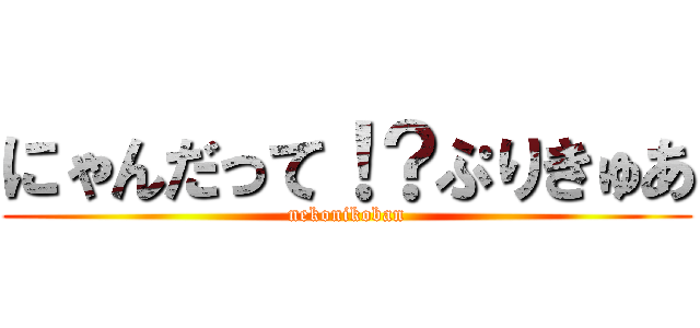 にゃんだって！？ぷりきゅあ (nekonikoban)