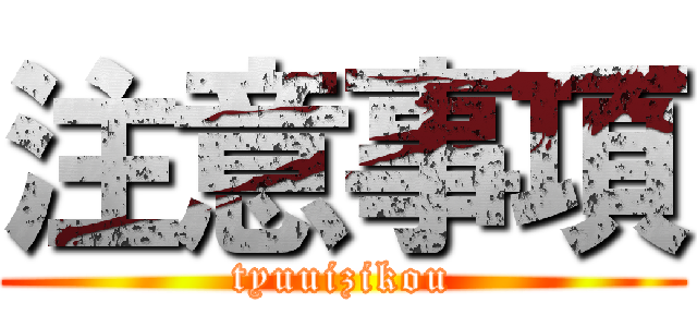 注意事項 (tyuuizikou)