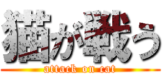 猫が戦う (attack on cat)