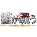 猫が戦う (attack on cat)