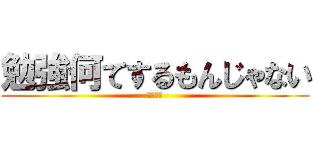 勉強何てするもんじゃない (しねぇよ)