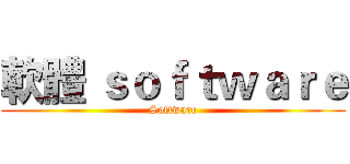 軟體 ｓｏｆｔｗａｒｅ (Software)
