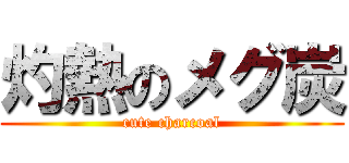 灼熱のメグ炭 (cute charcoal)