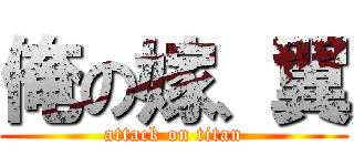 俺の嫁、翼 (attack on titan)
