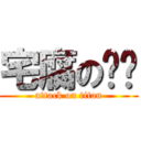 宅腐の喵酱 (attack on titan)