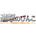 進撃のぴんこ (attack on titan)