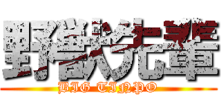 野獣先輩 (BIG TINPO)