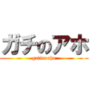 ガチのアホ (gatinoaho)