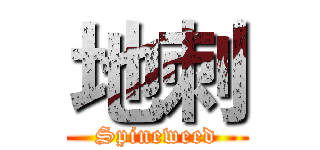 地刺 (Spineweed)
