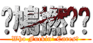 屌鳩撚柒閪 (Who Fuckin\' Cares?)