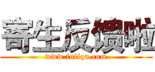 寄生反馈啦 (www.fuliqu.com)