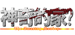神奇的家瑋 (The Amasing Monkey)