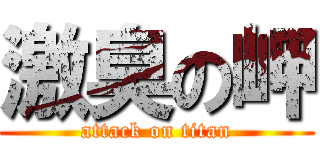 激臭の岬 (attack on titan)