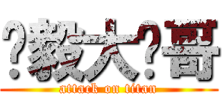 孙毅大帅哥 (attack on titan)