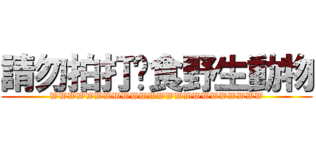 請勿拍打餵食野生動物 (WWWWWWWWWWWWWWWWWWWWWWWW)