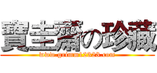 寶圭齋の珍藏 (www.grimm12323.com)