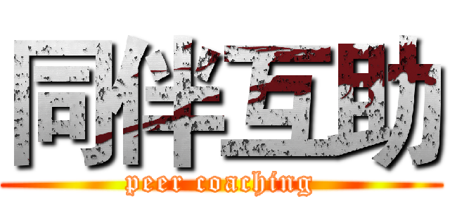 同伴互助 (peer coaching)