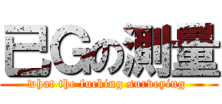 已Ｇの測量 (what the fucking surveying )