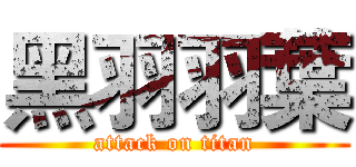 黑羽羽葉 (attack on titan)