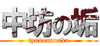 中坊の垢 (tyubounoaka)