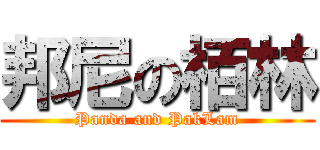 邦尼の栢林 (Panda and PakLam)