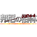 邦尼の栢林 (Panda and PakLam)