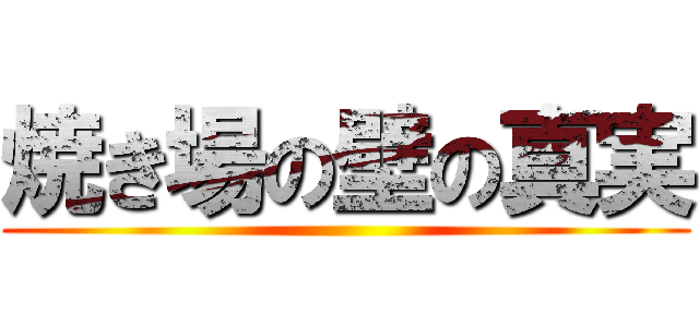 焼き場の壁の真実 ()