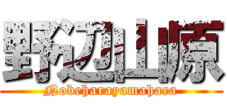 野辺山原 (Nobeharayamahara)