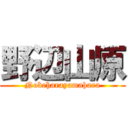 野辺山原 (Nobeharayamahara)