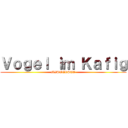 Ｖｏｇｅｌ ｉｍ Ｋａｆｉｇ (MISTERSAO)