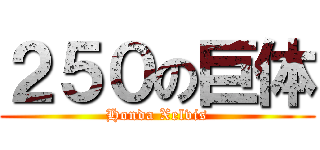 ２５０の巨体 (Honda Xelvis)