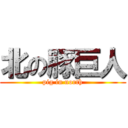 北の豚巨人 (pig in north)