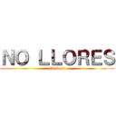 ＮＯ ＬＬＯＲＥＳ (Pendeja)