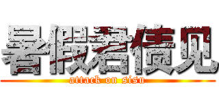 暑假君债见 (attack on sisu)