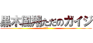 黒木風翔ただのガイジ (セックス)