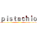 ｐｉｓｔａｃｈｉｏ ()