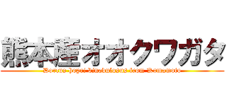 熊本産オオクワガタ (Dorcus hopei binodulosus from Kumamoto)